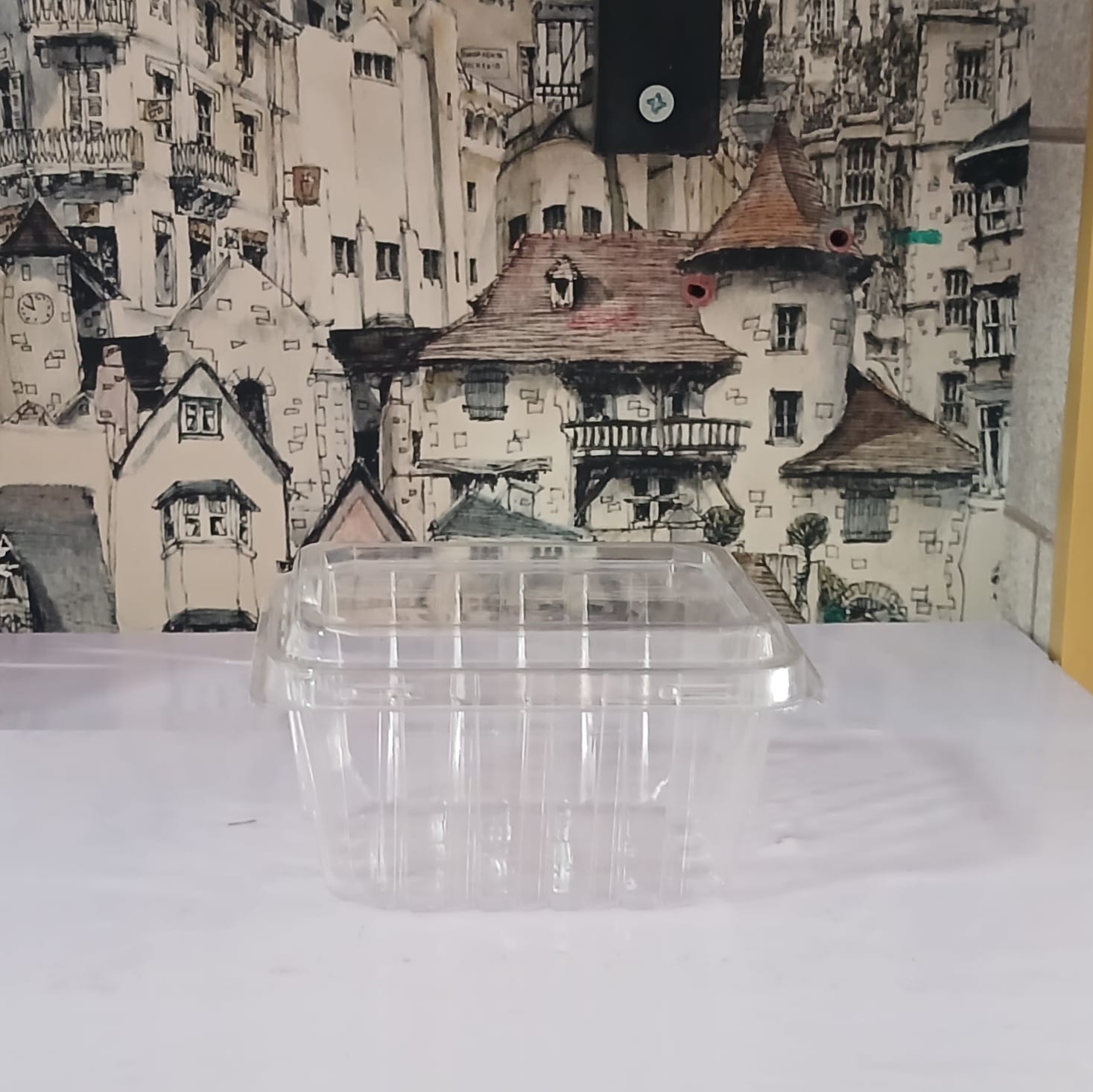 Salat qabı qapaqlı